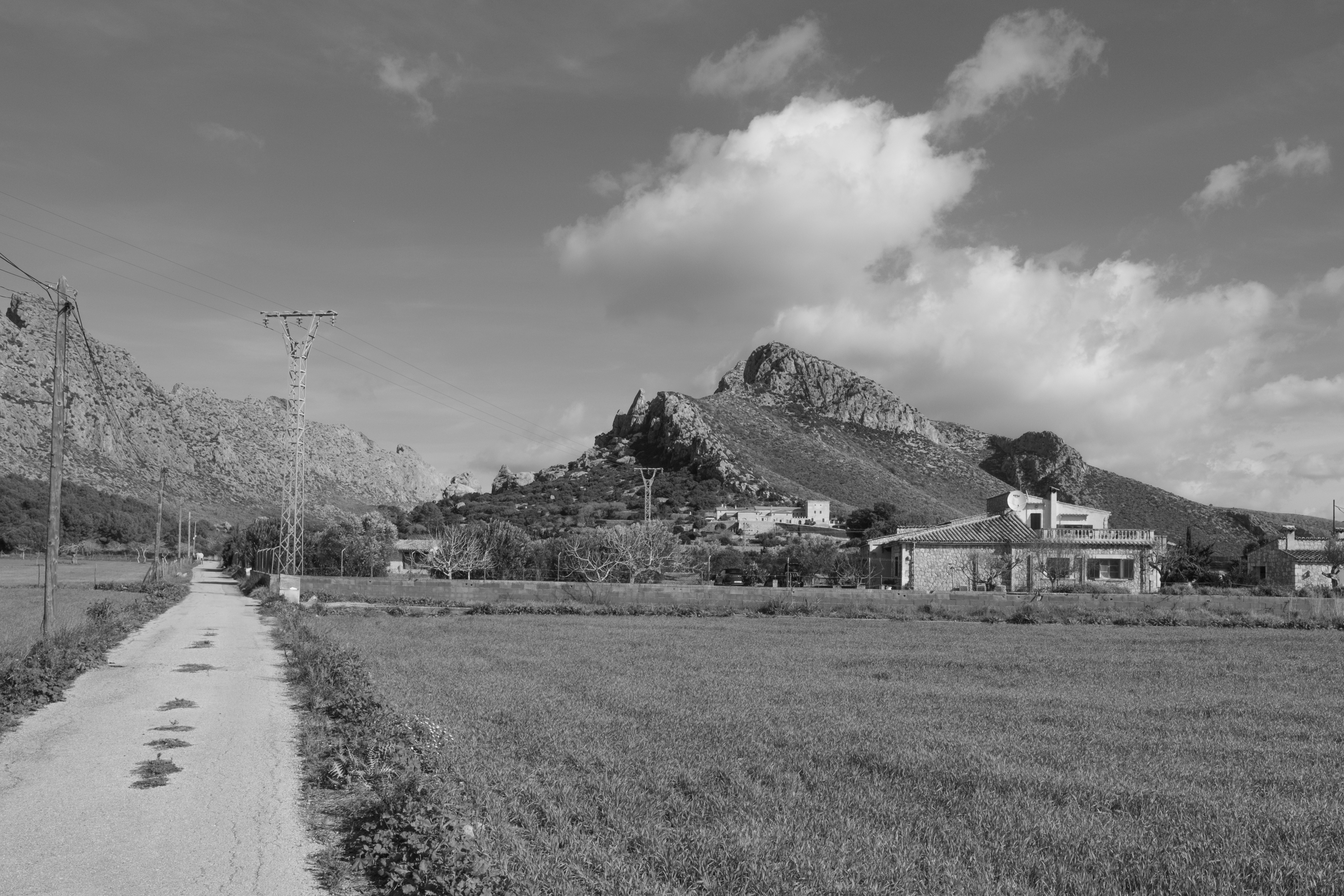 Participació a Pollença